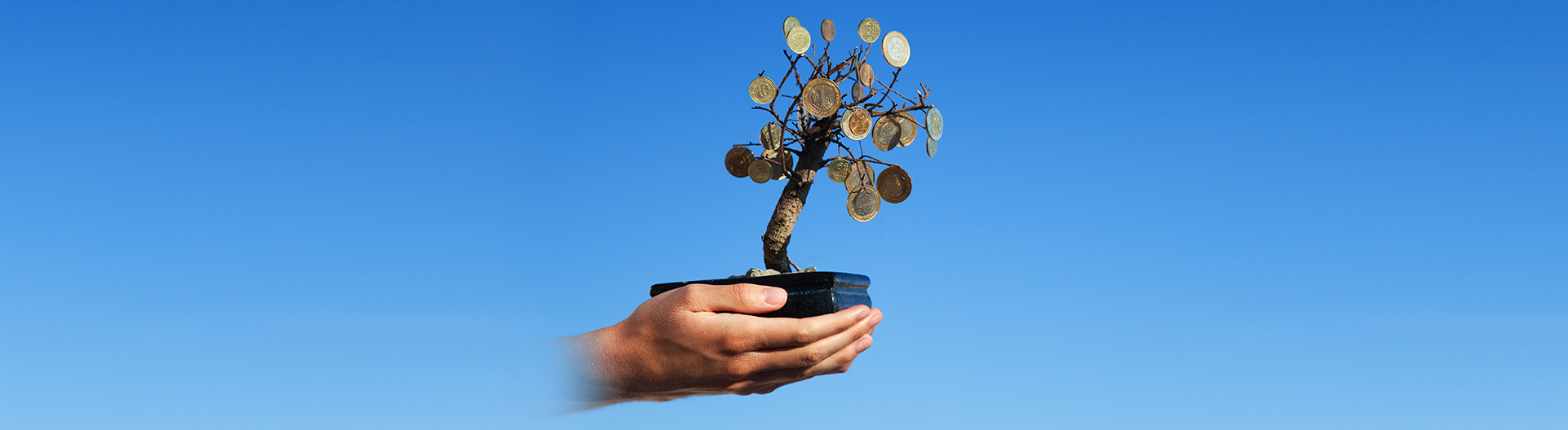 Trade Mentoring Programs