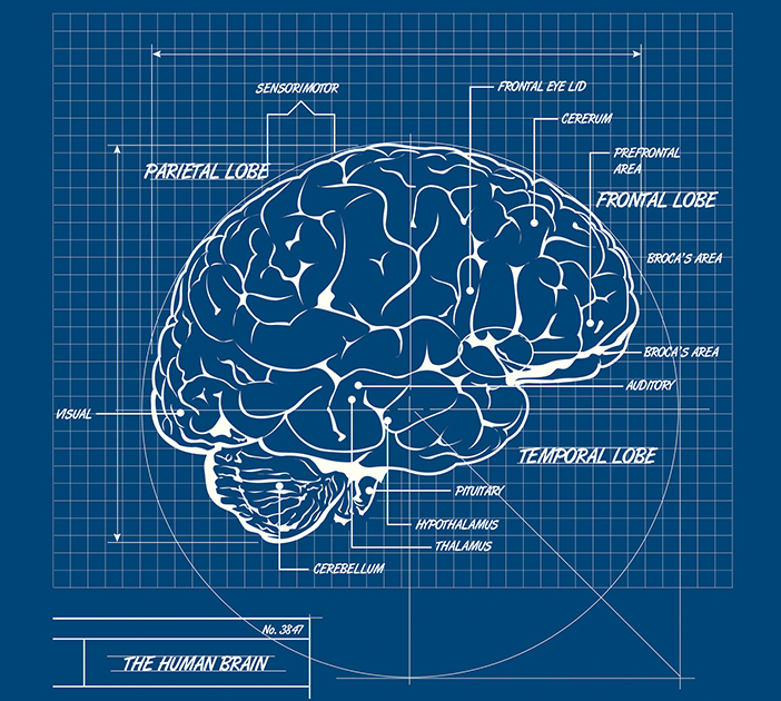 building-blueprint